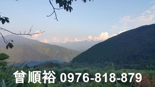 新竹五峰農地-2