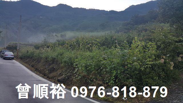 新竹五峰農地-3