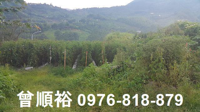 新竹五峰農地-4