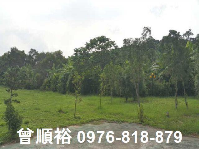 頭份農地-1