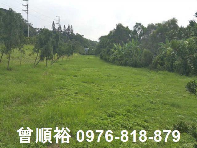 頭份農地-6