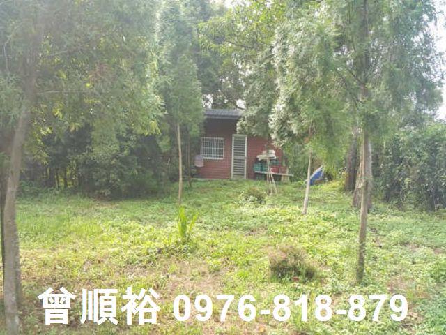 頭份農地-7