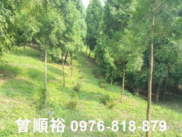 頭份農地-8