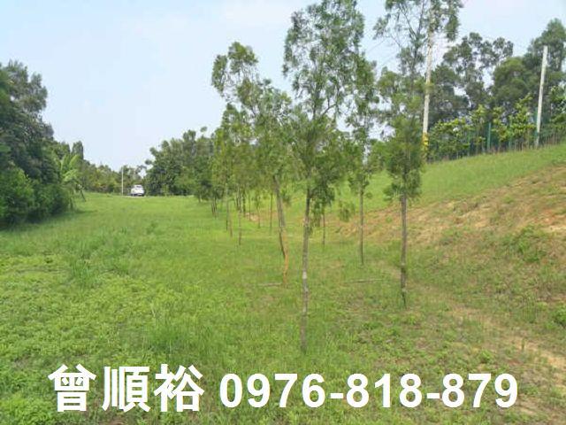 頭份農地-9