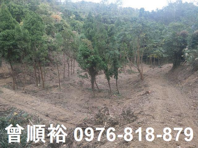 竹東農地-5