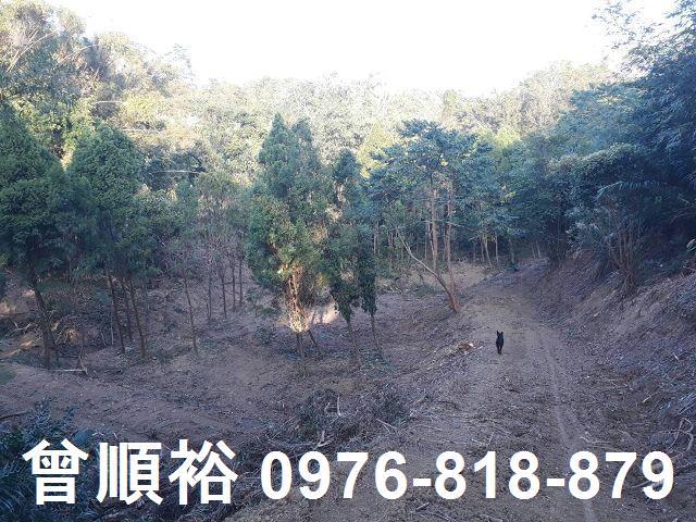 竹東農地-0