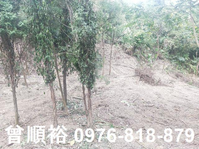 竹東農地-6