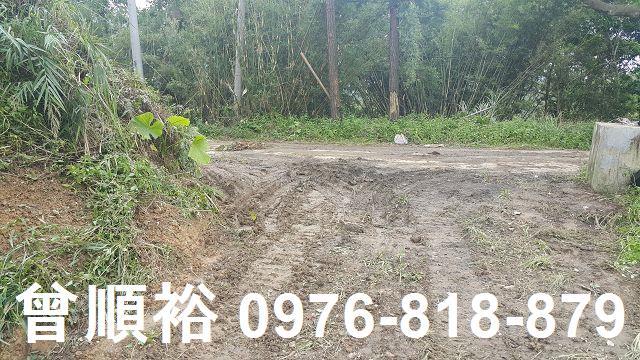 竹東農地-1