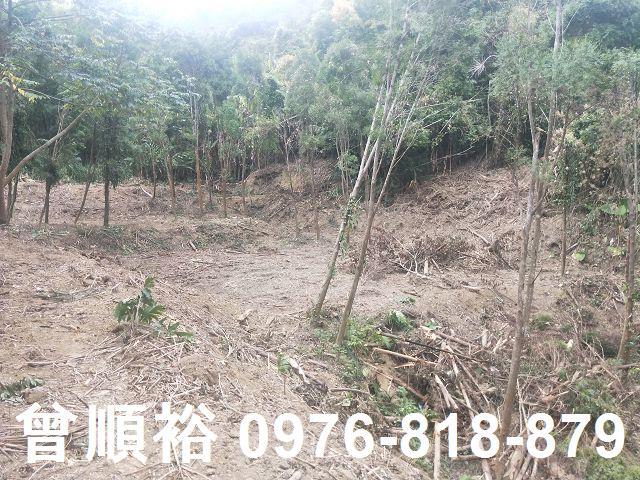 竹東農地-8