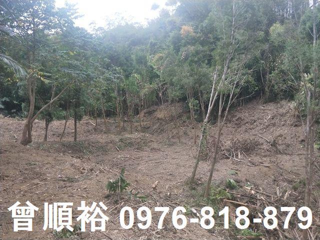 竹東農地-9
