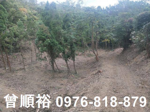 竹東農地-10