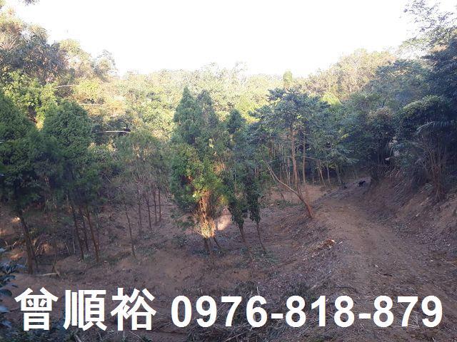 竹東農地-4
