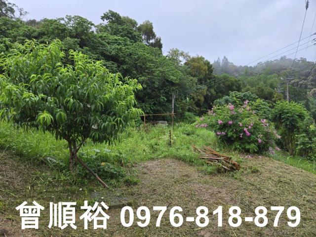 新竹農地-5