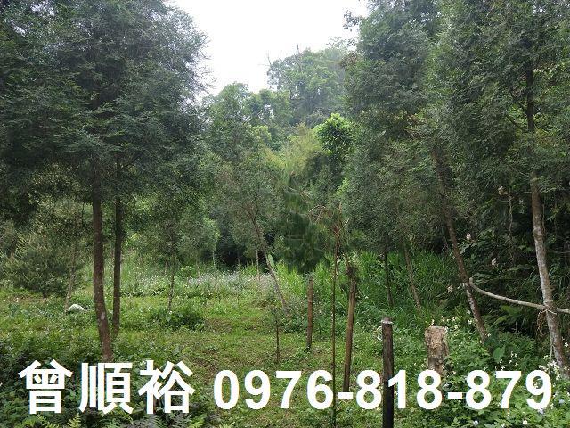 峨眉農地-0
