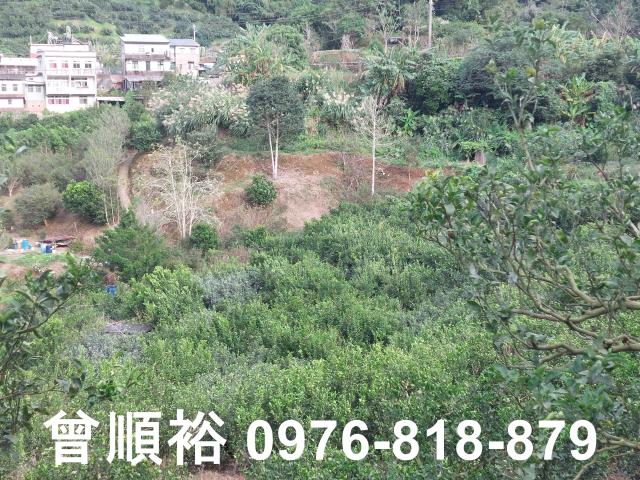 竹東建地-10