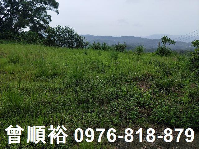 新竹農地-3