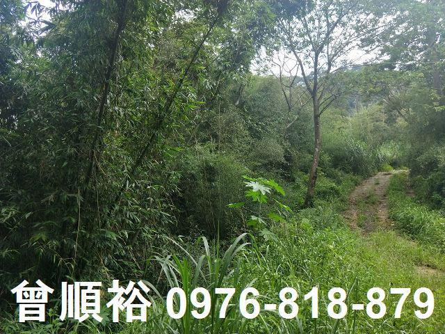 北埔農地-0