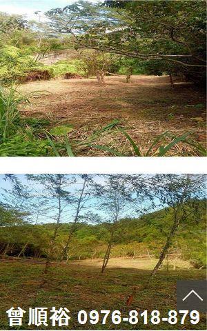 北埔農地-1