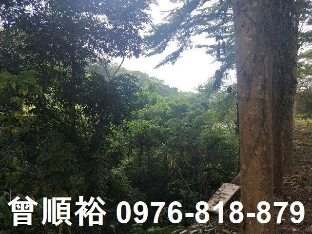 北埔農地-6