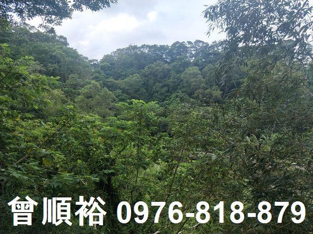 北埔農地-7