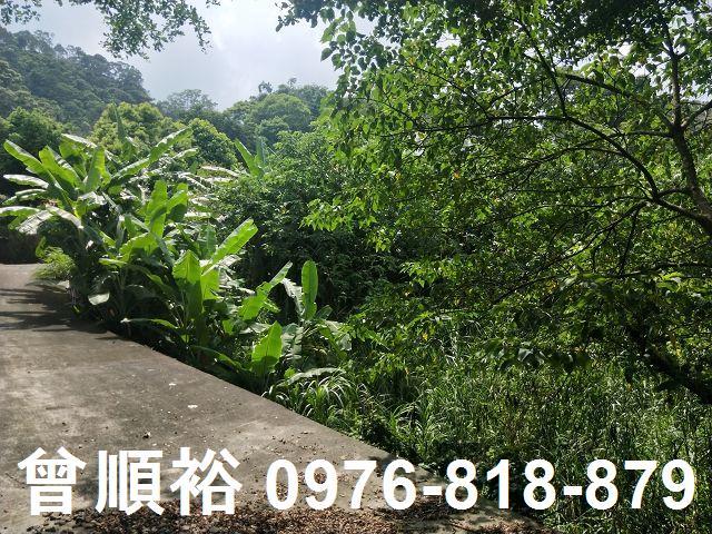 北埔農地-8