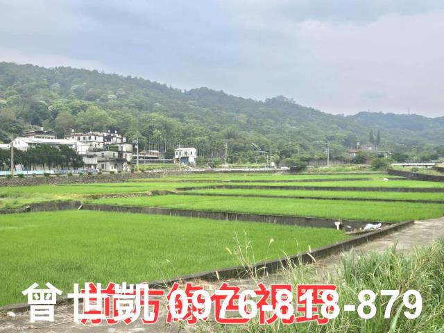 新竹關西農地-4