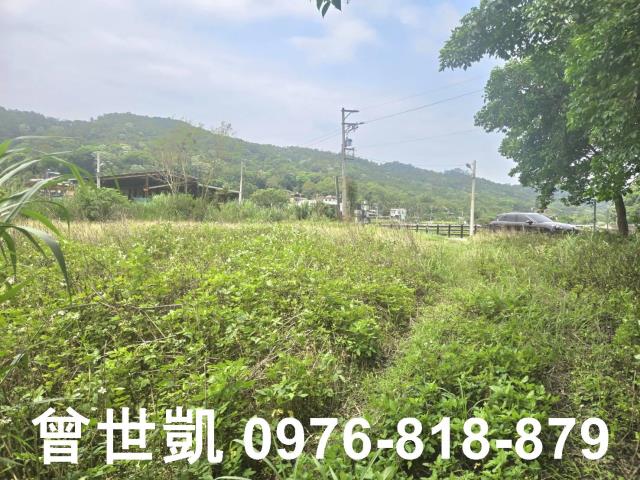 新竹關西農地-8